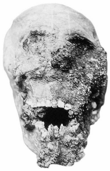 Иллюстрация к книге — Древняя Америка: полет во времени и пространстве. Северная Америка. Южная Америка [i_051.jpg]