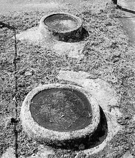 Иллюстрация к книге — Древняя Америка: полет во времени и пространстве. Северная Америка. Южная Америка [i_122.jpg]