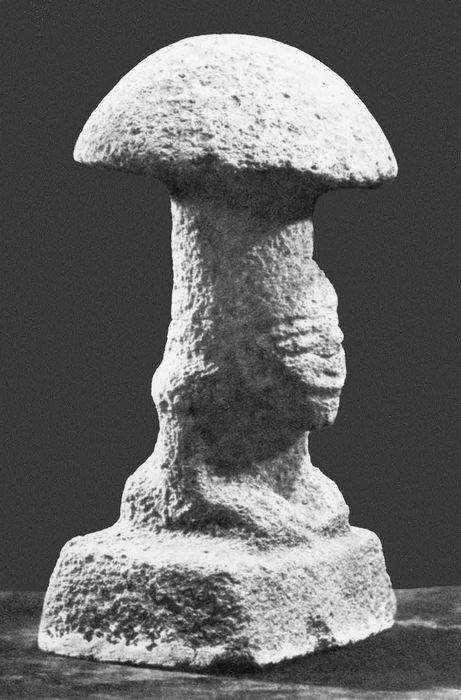 Иллюстрация к книге — Древняя Америка: полет во времени и пространстве. Мезоамерика [i_120.jpg]