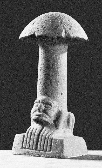 Иллюстрация к книге — Древняя Америка: полет во времени и пространстве. Мезоамерика [i_121.jpg]