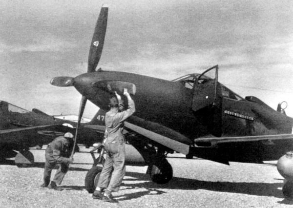 Иллюстрация к книге — ИСТРЕБИТЕЛЬ P-63 «КИНГКОБРА» [i_068.jpg]