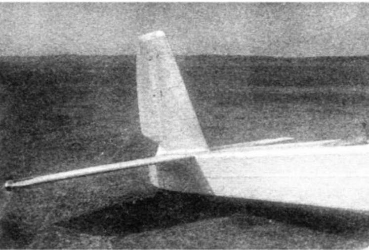 Иллюстрация к книге — Самолеты-гиганты СССР [img_72.jpg]