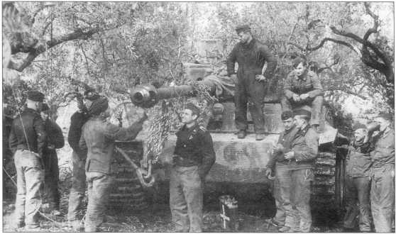 Иллюстрация к книге — Тяжелый танк «Тигр I» [i_136.jpg]