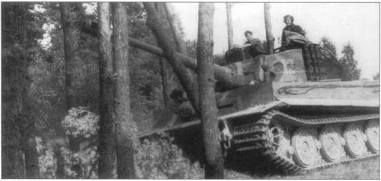 Иллюстрация к книге — Тяжелый танк «Тигр I» [i_225.jpg]