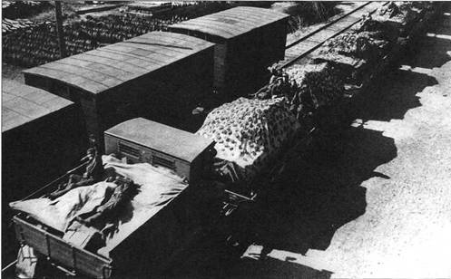 Иллюстрация к книге — Легкие танки семейства Т-40. «Красные» разведчики [pic_40.jpg]