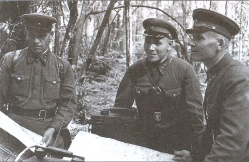 Иллюстрация к книге — У стен Смоленска [i_017.jpg]