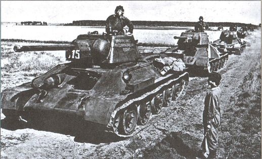 Иллюстрация к книге — У стен Смоленска [i_031.jpg]