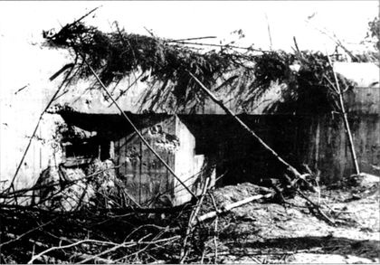 Иллюстрация к книге — Трагедия Брестской крепости. Антология подвига. Боевые действия 22 июня - 23 июля 1941 года [i_025.jpg]