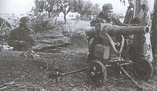 Иллюстрация к книге — Германо-итальянские боевые операции. 1941-1943 гг. [i_034.jpg]