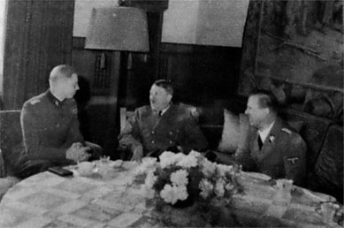 Иллюстрация к книге — Войска СС без грифа секретности [_0037.jpg]