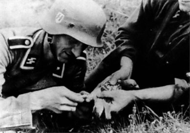 Иллюстрация к книге — Войска СС без грифа секретности [_0047.jpg]