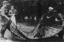 Иллюстрация к книге — Войска СС без грифа секретности [_0219.jpg]