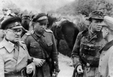 Иллюстрация к книге — Войска СС без грифа секретности [_0253.jpg]