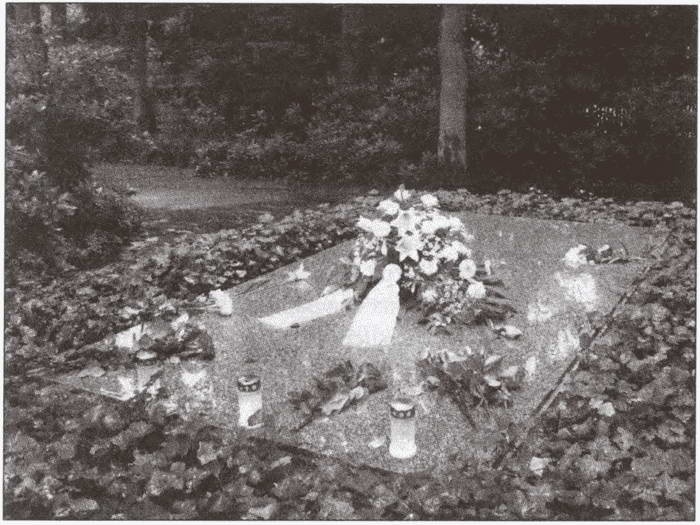 Иллюстрация к книге — Замки баварского короля [i_089.jpg]