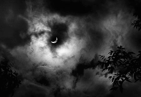 Иллюстрация к книге — Загадки поля Куликова [i_017.jpg]