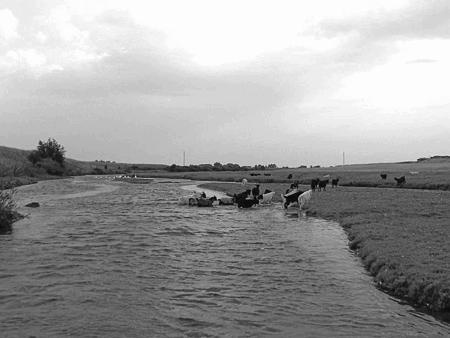 Иллюстрация к книге — Загадки поля Куликова [i_033.jpg]