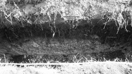 Иллюстрация к книге — Загадки поля Куликова [i_067.jpg]