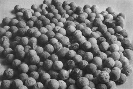 Иллюстрация к книге — Повседневная жизнь русского офицера эпохи 1812 года [imgabf9.jpg]