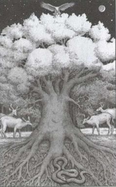 Иллюстрация к книге — Третий рейх под знаменем оккультизма [i_008.jpg]