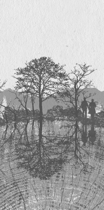 Иллюстрация к книге — Шестнадцать деревьев Соммы [i_001.jpg]