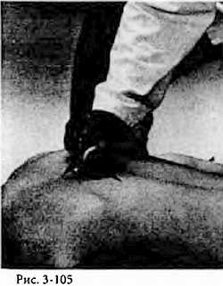 Иллюстрация к книге — Китайский цигун-массаж. Общий массаж [_105.jpg]