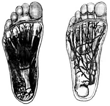 Иллюстрация к книге — Китайский цигун-массаж. Общий массаж [_112.jpg]