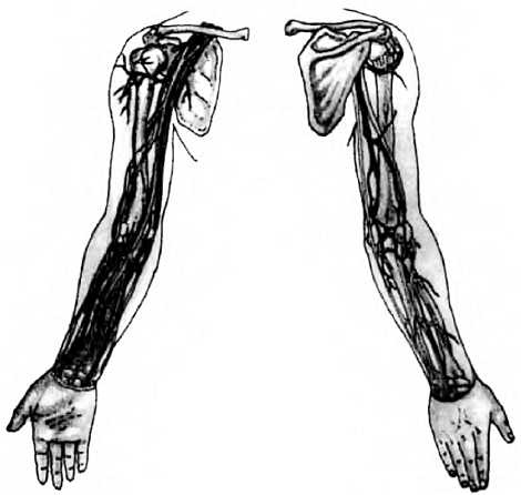 Иллюстрация к книге — Китайский цигун-массаж. Общий массаж [_153.jpg]
