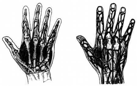 Иллюстрация к книге — Китайский цигун-массаж. Общий массаж [_155.jpg]