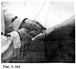 Иллюстрация к книге — Китайский цигун-массаж. Общий массаж [_164.jpg]