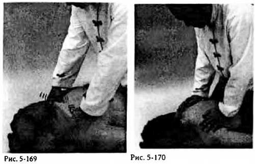 Иллюстрация к книге — Китайский цигун-массаж. Общий массаж [_170.jpg]