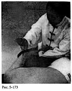 Иллюстрация к книге — Китайский цигун-массаж. Общий массаж [_173.jpg]