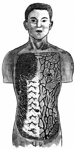 Иллюстрация к книге — Китайский цигун-массаж. Общий массаж [_178.jpg]