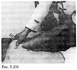 Иллюстрация к книге — Китайский цигун-массаж. Общий массаж [_231.jpg]