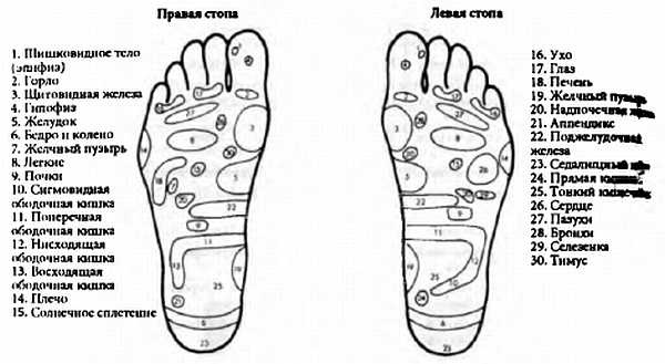 Иллюстрация к книге — Китайский цигун-массаж. Общий массаж [_43.jpg]