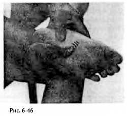 Иллюстрация к книге — Китайский цигун-массаж. Общий массаж [_46.jpg]