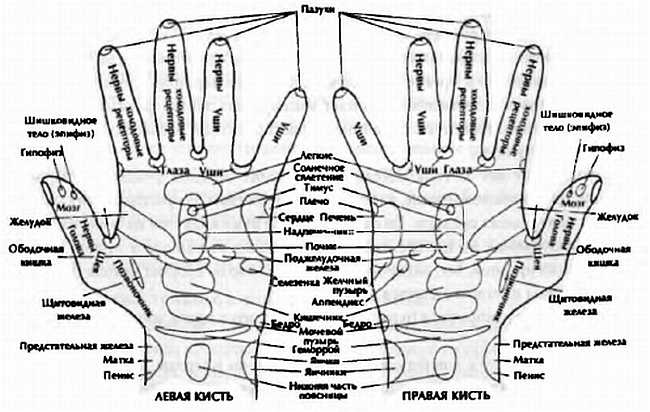 Иллюстрация к книге — Китайский цигун-массаж. Общий массаж [_59.jpg]