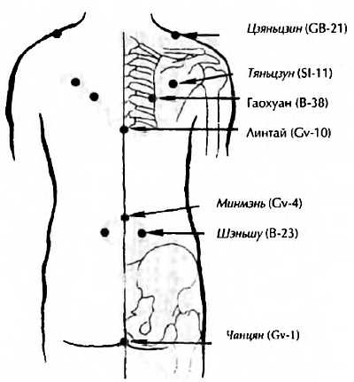 Иллюстрация к книге — Китайский цигун-массаж. Общий массаж [_73.jpg]