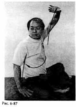 Иллюстрация к книге — Китайский цигун-массаж. Общий массаж [_87.jpg]