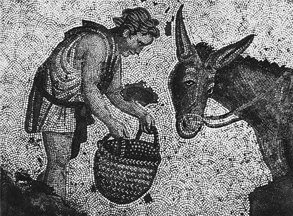 Иллюстрация к книге — Всеобщая история религий мира [_155.jpg]