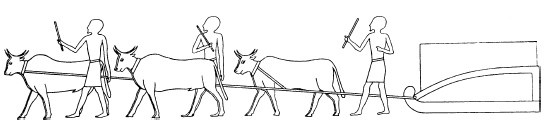 Иллюстрация к книге — Строительство и архитектура в Древнем Египте [i_044.jpg]