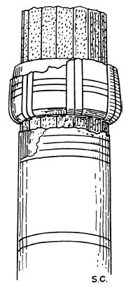 Иллюстрация к книге — Строительство и архитектура в Древнем Египте [i_089.jpg]