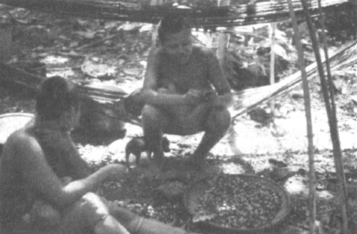 Иллюстрация к книге — Прощай, нищета! Краткая экономическая история мира [_02.jpg]