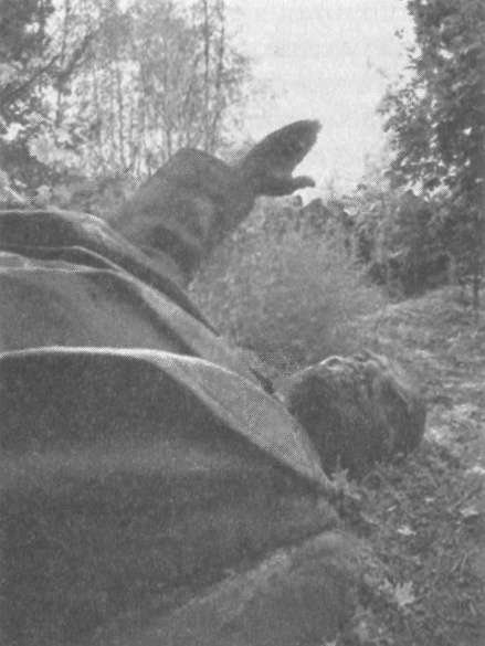 Иллюстрация к книге — Прощай, нищета! Краткая экономическая история мира [_106.jpg]