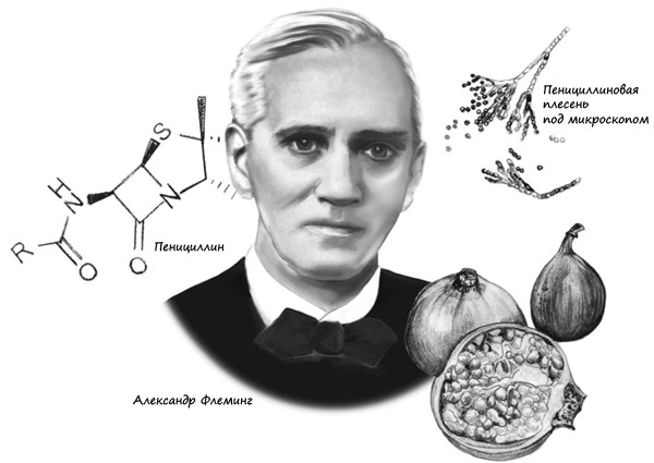 Иллюстрация к книге — Открытия, которые изменили мир. Как 10 величайших открытий в медицине спасли миллионы жизней и изменили наше видение мира [_7.jpg]