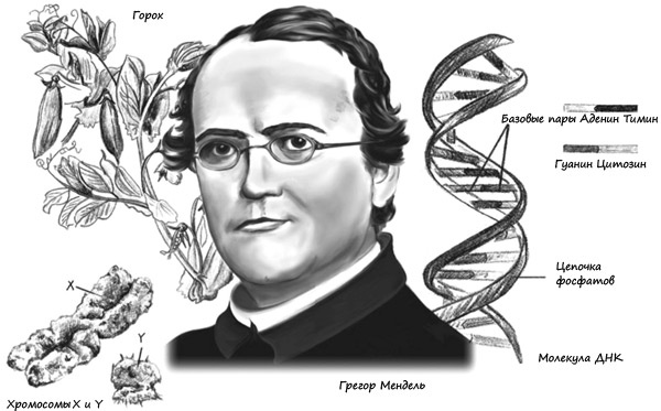 Иллюстрация к книге — Открытия, которые изменили мир. Как 10 величайших открытий в медицине спасли миллионы жизней и изменили наше видение мира [_8.jpg]