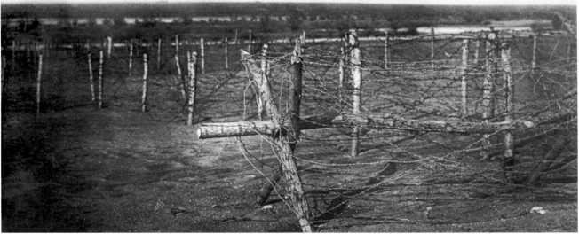 Иллюстрация к книге — Танки в Гражданской войне [i_089.jpg]