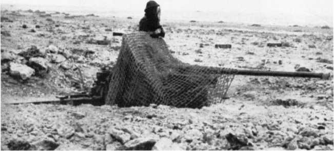 Иллюстрация к книге — Противотанковая артиллерия Вермахта во Второй Мировой войне. От "дверных колотушек" до "убийц танков" [i_018.jpg]