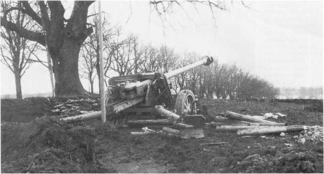 Иллюстрация к книге — Противотанковая артиллерия Вермахта во Второй Мировой войне. От "дверных колотушек" до "убийц танков" [i_033.jpg]