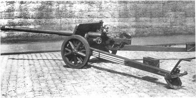 Иллюстрация к книге — Противотанковая артиллерия Вермахта во Второй Мировой войне. От "дверных колотушек" до "убийц танков" [i_039.jpg]