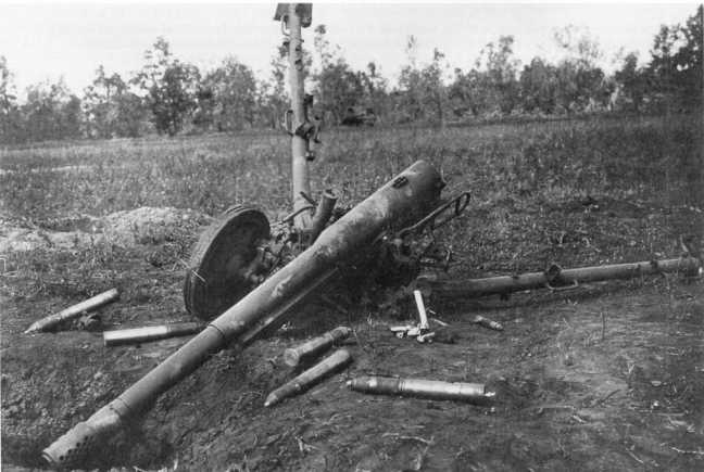 Иллюстрация к книге — Противотанковая артиллерия Вермахта во Второй Мировой войне. От "дверных колотушек" до "убийц танков" [i_051.jpg]